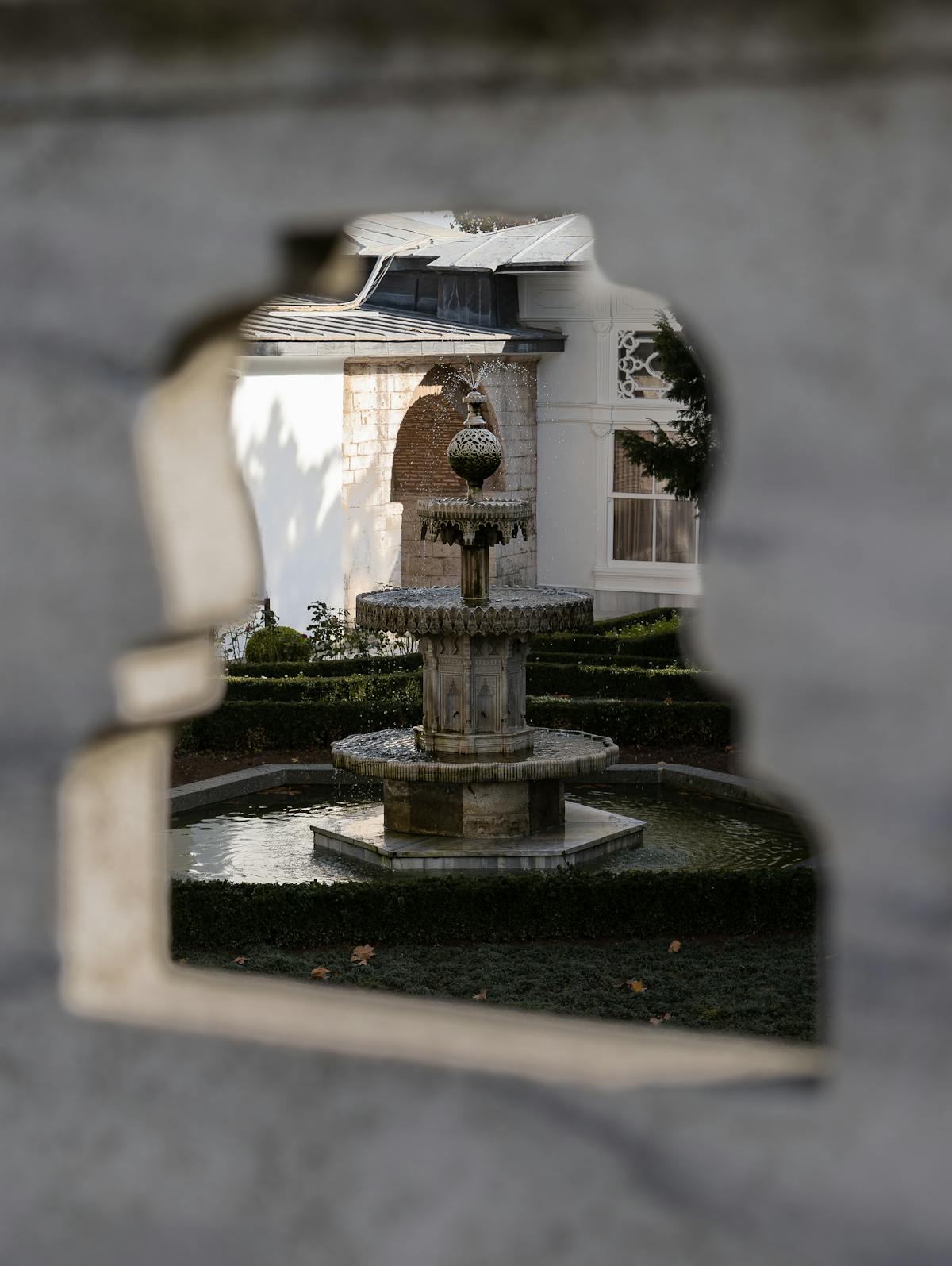 Jardin paysager aménagé à Nice